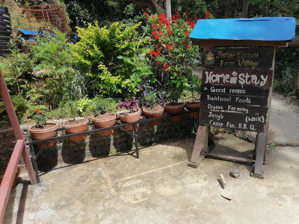 Jungle Crown Organic Homestay Нагаркот Екстериор снимка