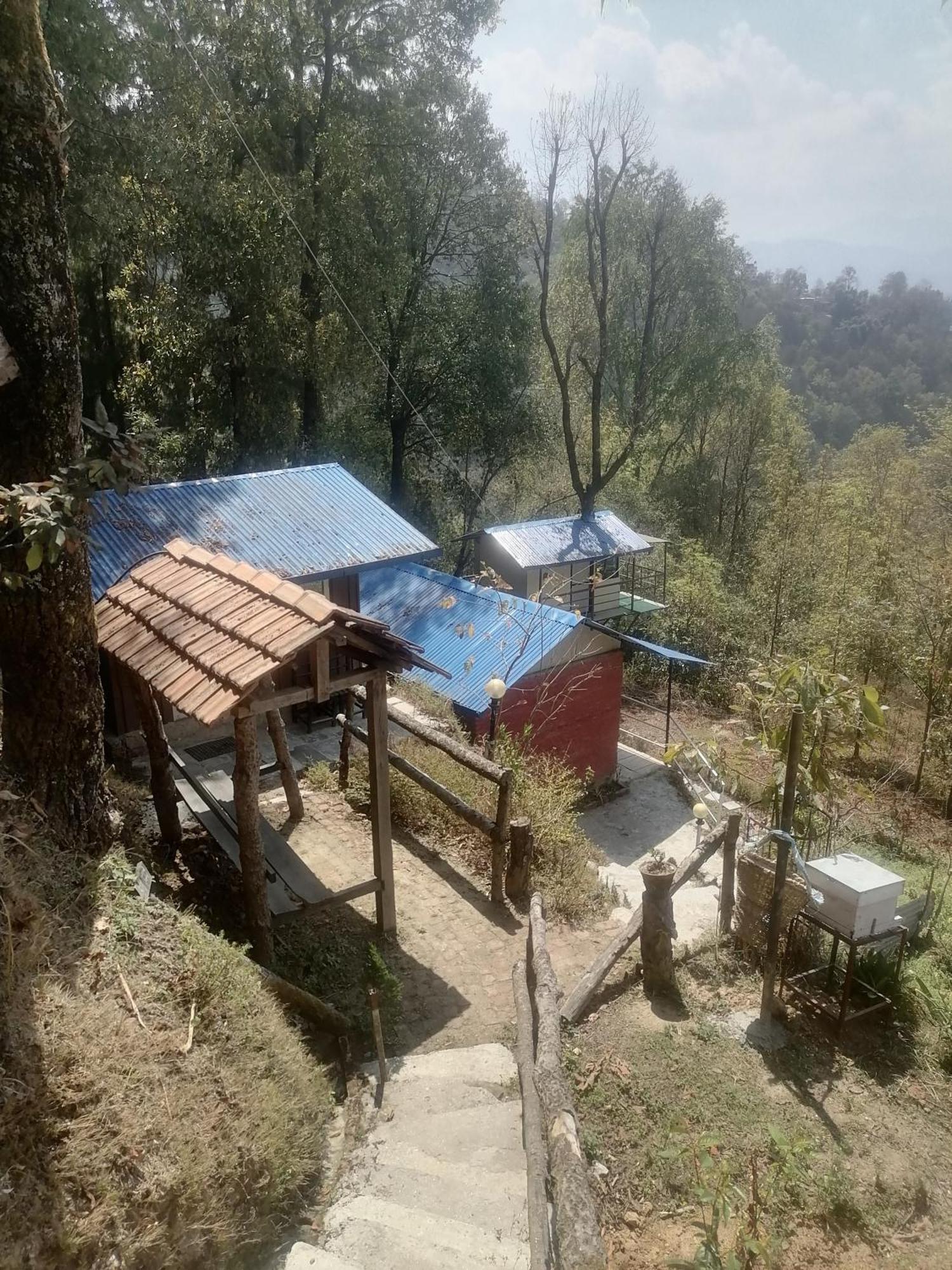 Jungle Crown Organic Homestay Нагаркот Екстериор снимка