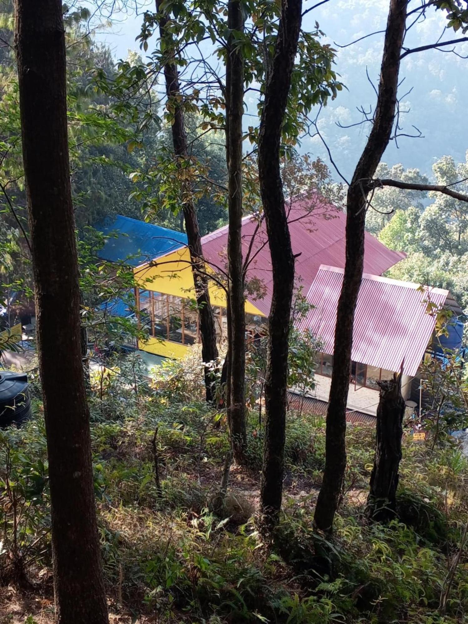 Jungle Crown Organic Homestay Нагаркот Екстериор снимка