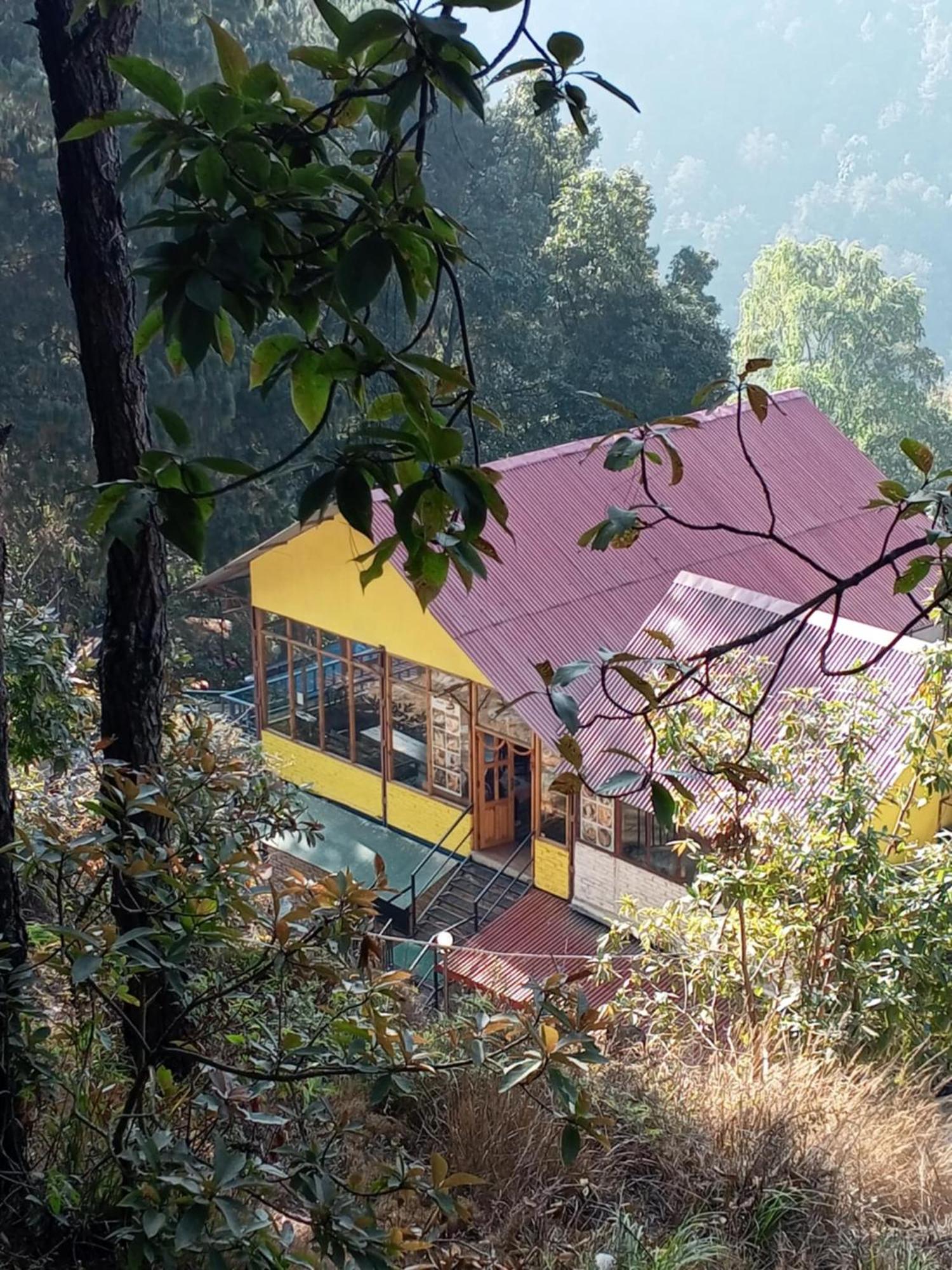 Jungle Crown Organic Homestay Нагаркот Екстериор снимка
