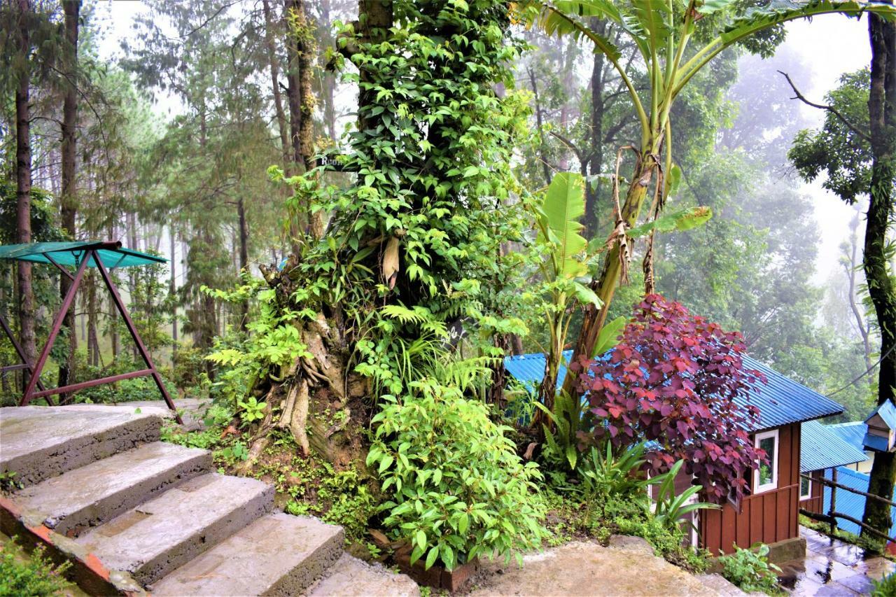 Jungle Crown Organic Homestay Нагаркот Екстериор снимка