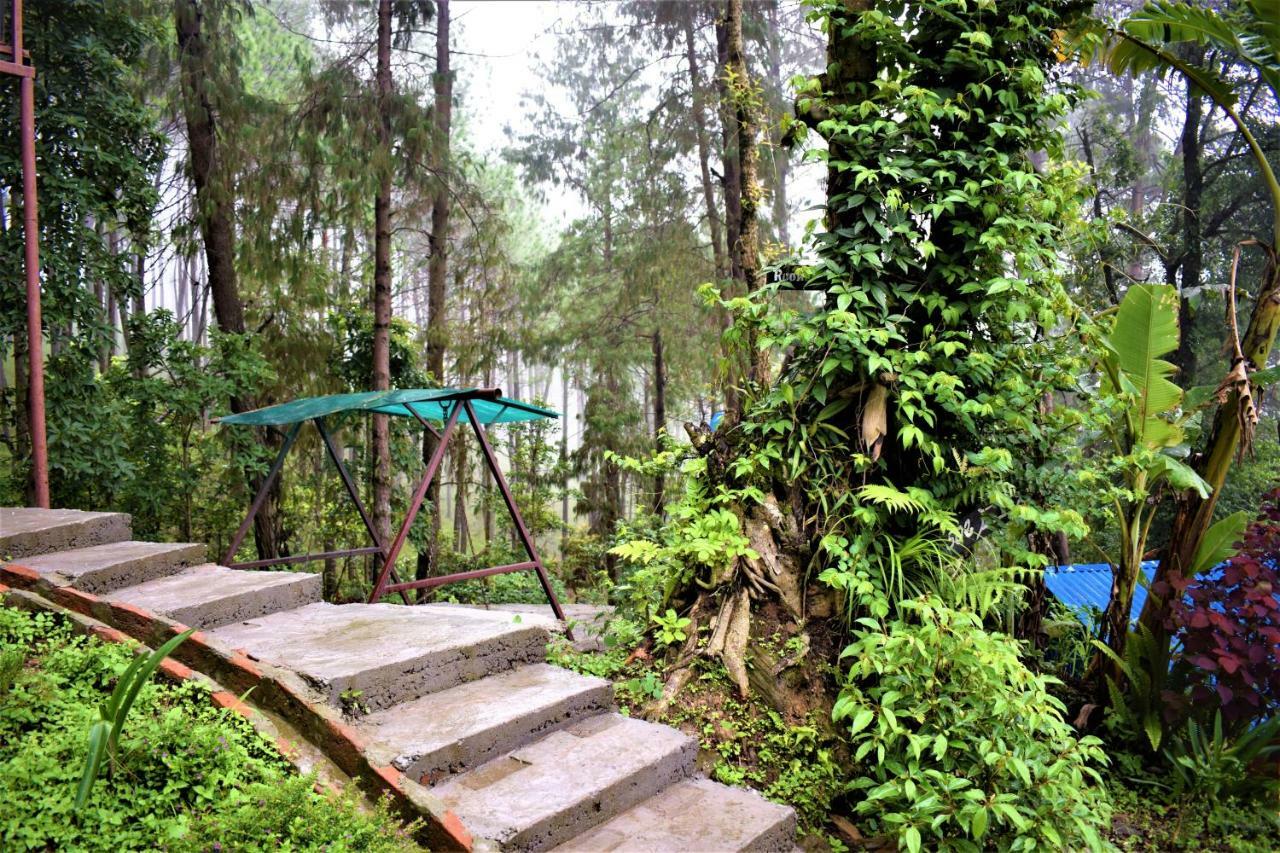 Jungle Crown Organic Homestay Нагаркот Екстериор снимка