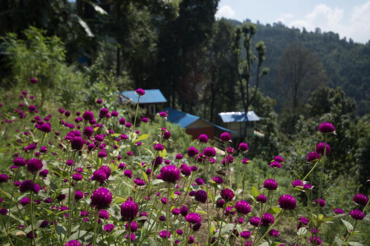 Jungle Crown Organic Homestay Нагаркот Екстериор снимка