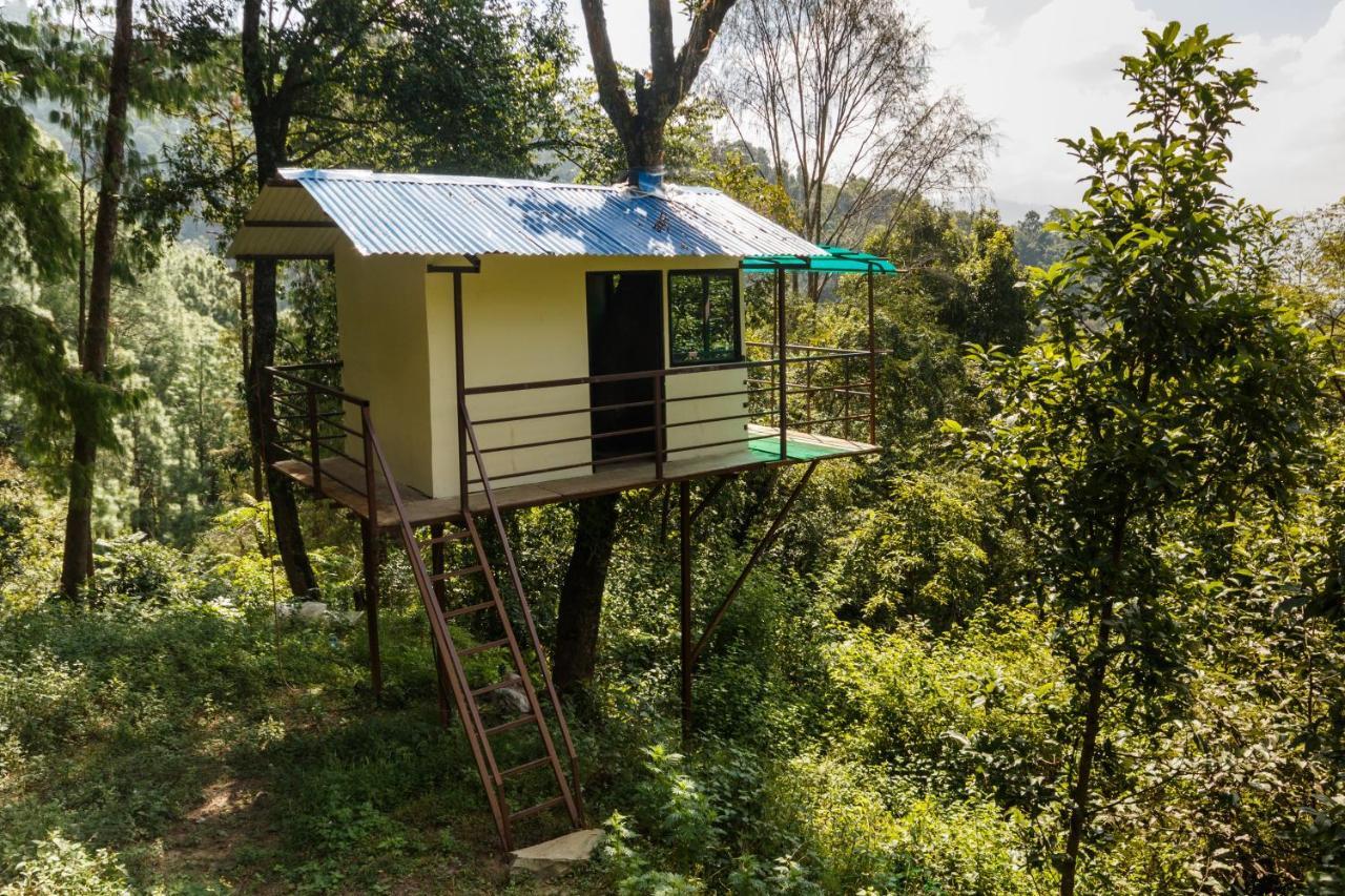 Jungle Crown Organic Homestay Нагаркот Екстериор снимка