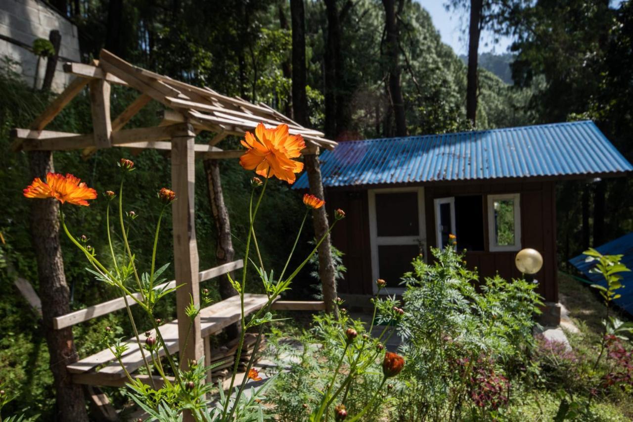 Jungle Crown Organic Homestay Нагаркот Екстериор снимка