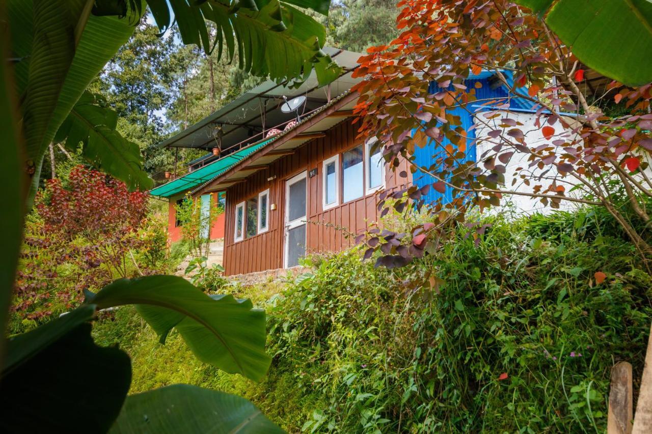 Jungle Crown Organic Homestay Нагаркот Екстериор снимка