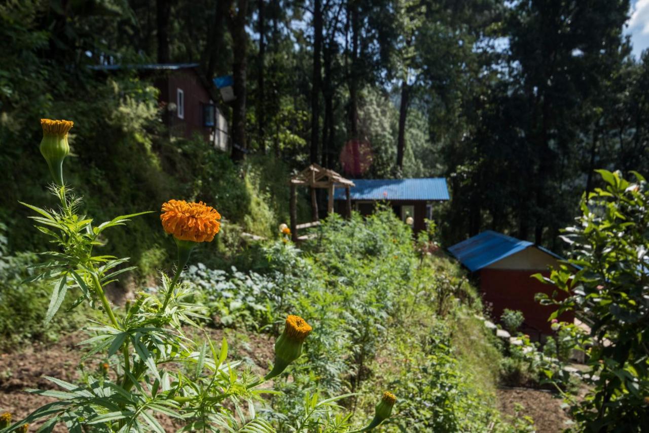 Jungle Crown Organic Homestay Нагаркот Екстериор снимка